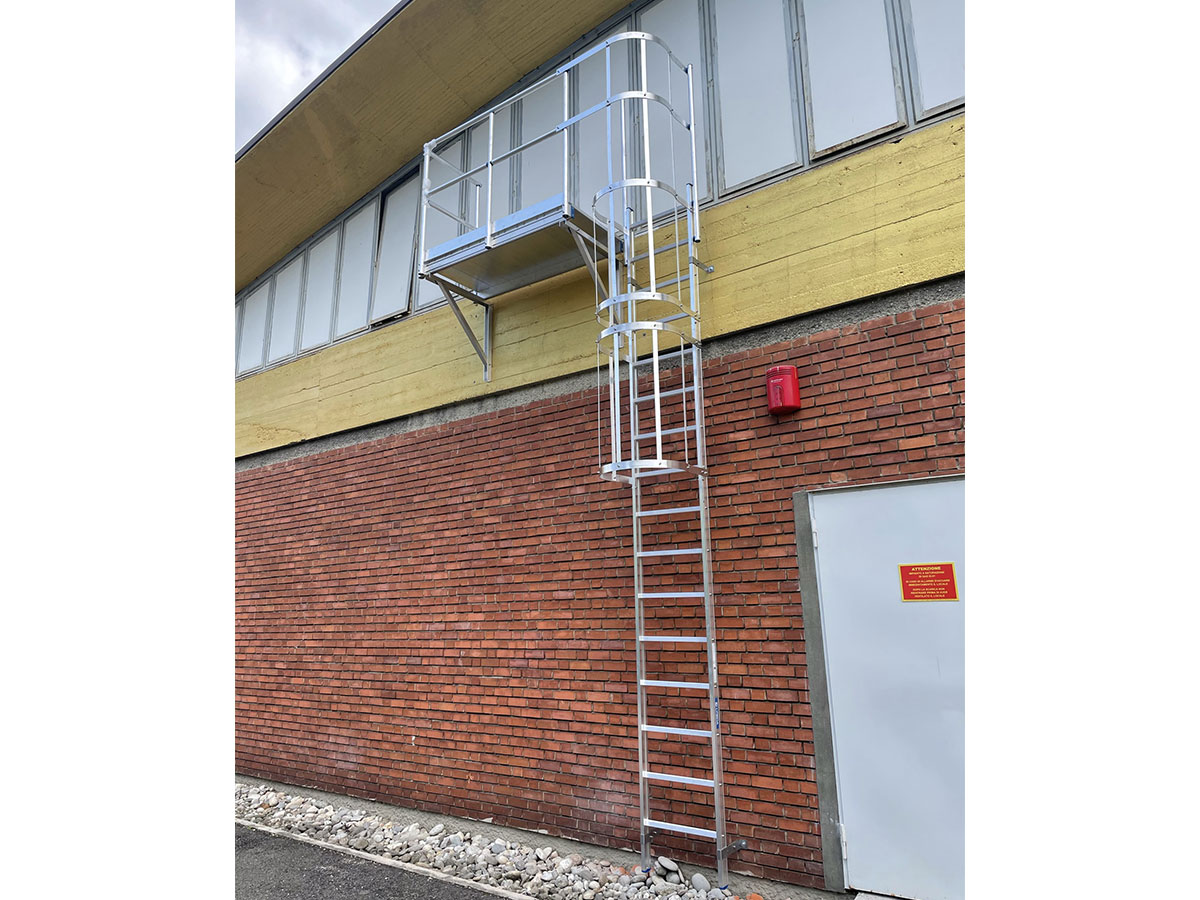 Cage ladder with walkway